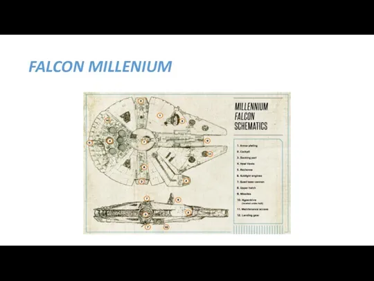 FALCON MILLENIUM