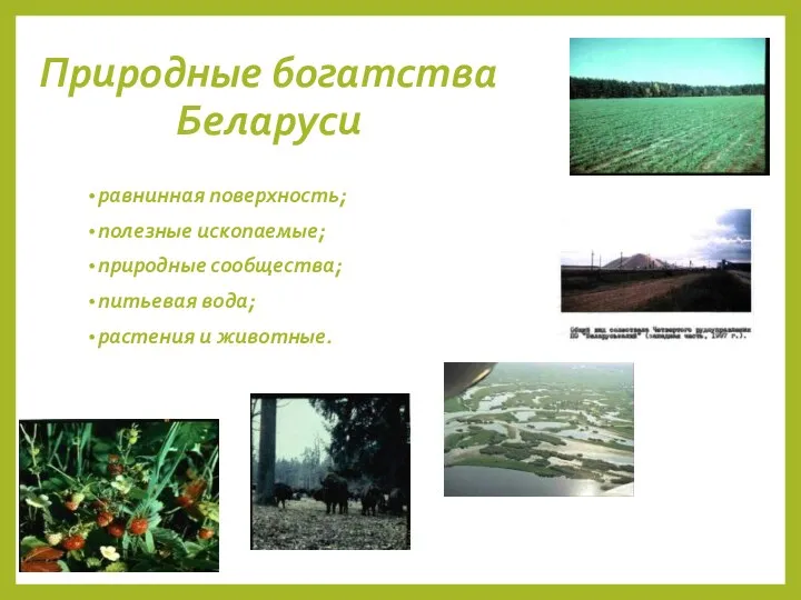 Природные богатства Беларуси равнинная поверхность; полезные ископаемые; природные сообщества; питьевая вода; растения и животные.