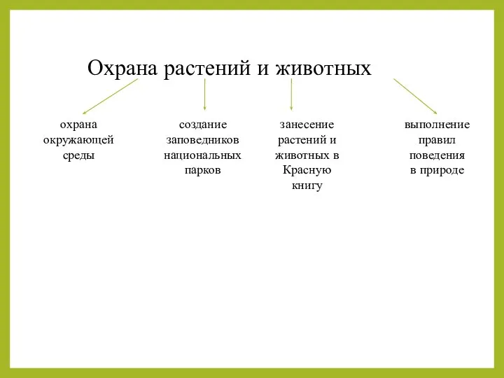 Охрана растений и животных охрана окружающей среды создание заповедников национальных парков занесение