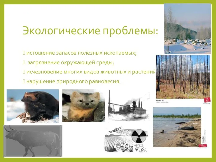 Экологические проблемы: истощение запасов полезных ископаемых; загрязнение окружающей среды; исчезновение многих видов