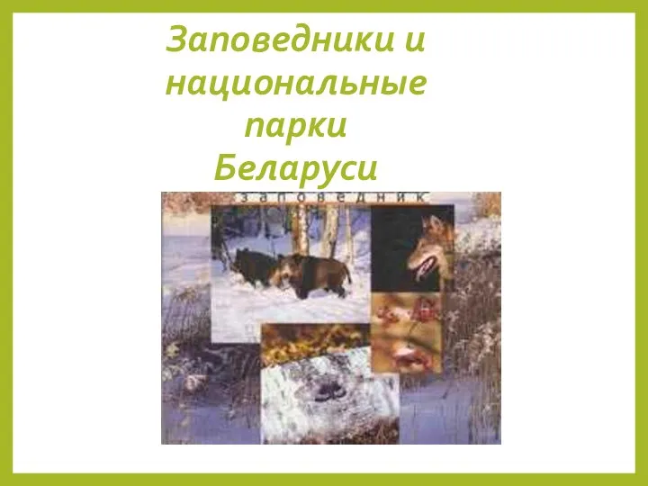Заповедники и национальные парки Беларуси