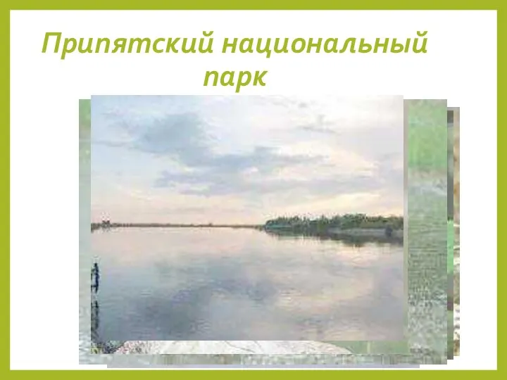 Припятский национальный парк