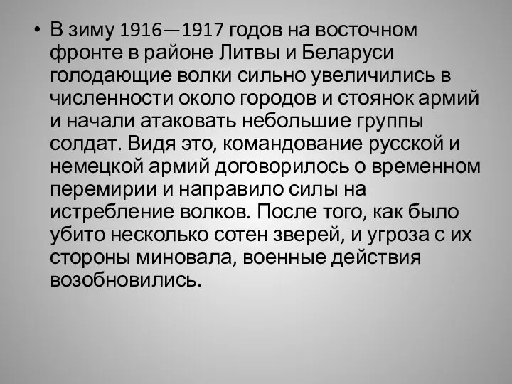 В зиму 1916—1917 годов на восточном фронте в районе Литвы и Беларуси