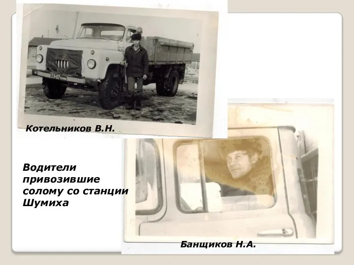 Водители привозившие солому со станции Шумиха Котельников В.Н. Банщиков Н.А.