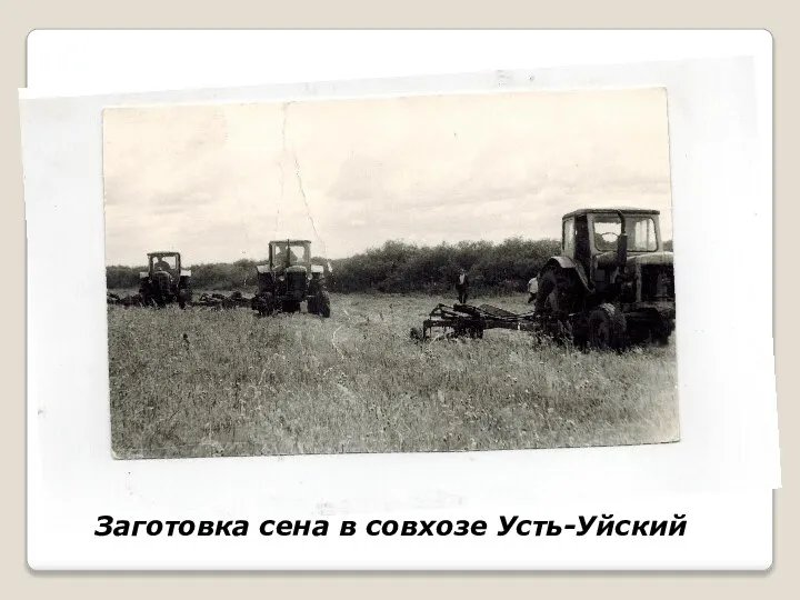 Заготовка сена в совхозе Усть-Уйский