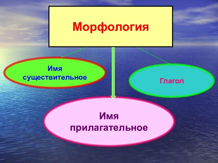 Морфология Имя существительное Глагол Имя прилагательное