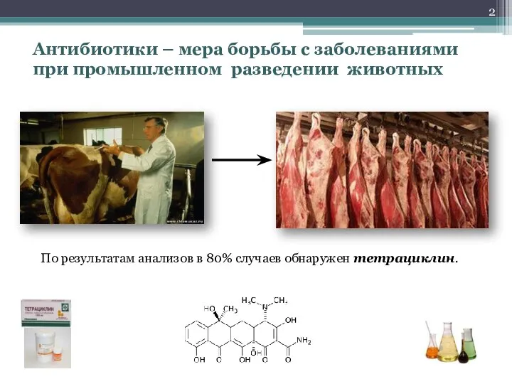 По результатам анализов в 80% случаев обнаружен тетрациклин. Антибиотики – мера борьбы