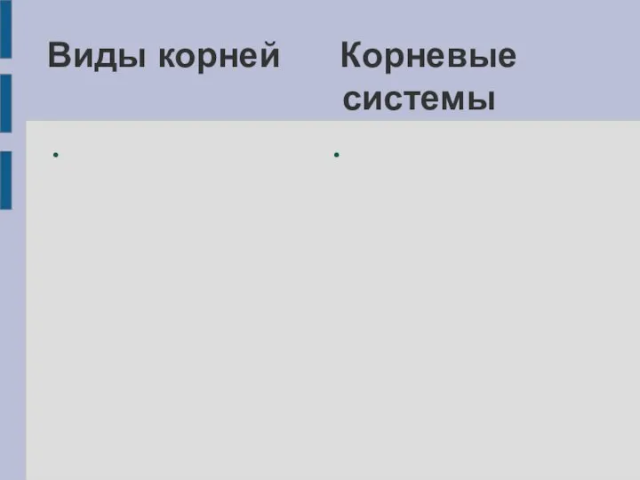 Виды корней Корневые системы