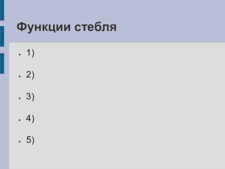 Функции стебля 1) 2) 3) 4) 5)