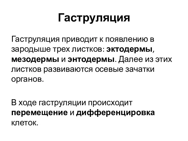 Гаструляция Гаструляция приводит к появлению в зародыше трех листков: эктодермы, мезодермы и