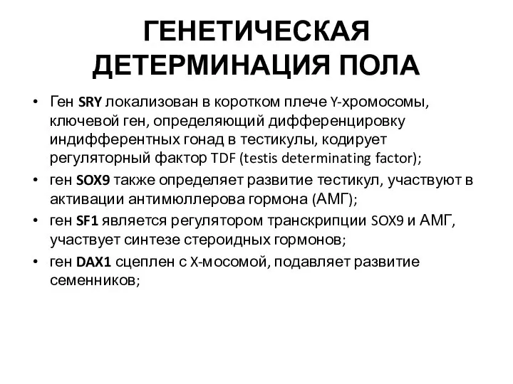 ГЕНЕТИЧЕСКАЯ ДЕТЕРМИНАЦИЯ ПОЛА Ген SRY локализован в коротком плече Y-хромосомы, ключевой ген,