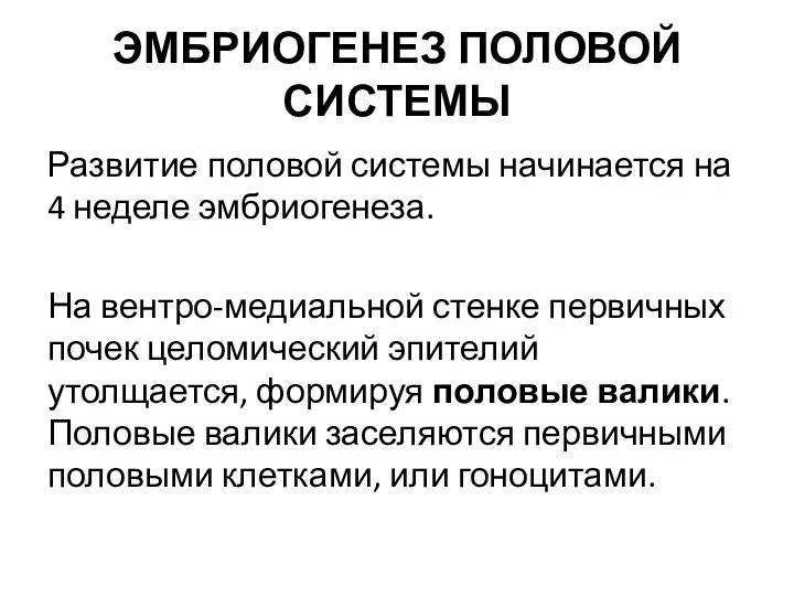 ЭМБРИОГЕНЕЗ ПОЛОВОЙ СИСТЕМЫ Развитие половой системы начинается на 4 неделе эмбриогенеза. На