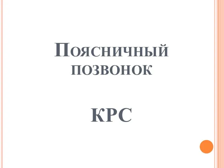 Поясничный позвонок КРС