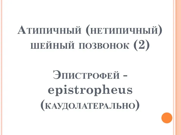 Атипичный (нетипичный) шейный позвонок (2) Эпистрофей - epistropheus (каудолатерально)