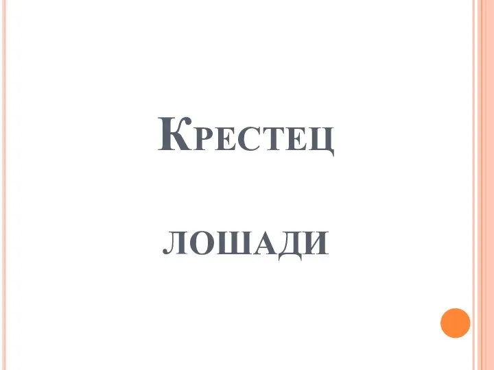 Крестец лошади