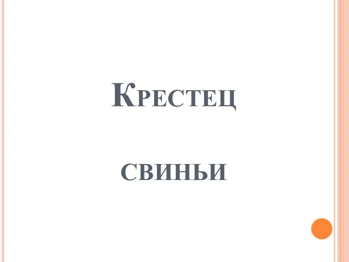 Крестец свиньи