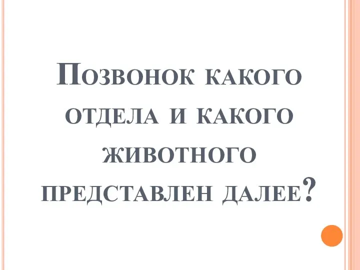 Позвонок какого отдела и какого животного представлен далее?