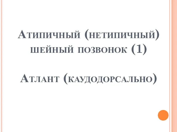 Атипичный (нетипичный) шейный позвонок (1) Атлант (каудодорсально)