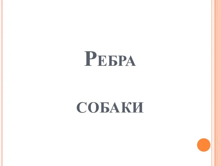 Ребра собаки