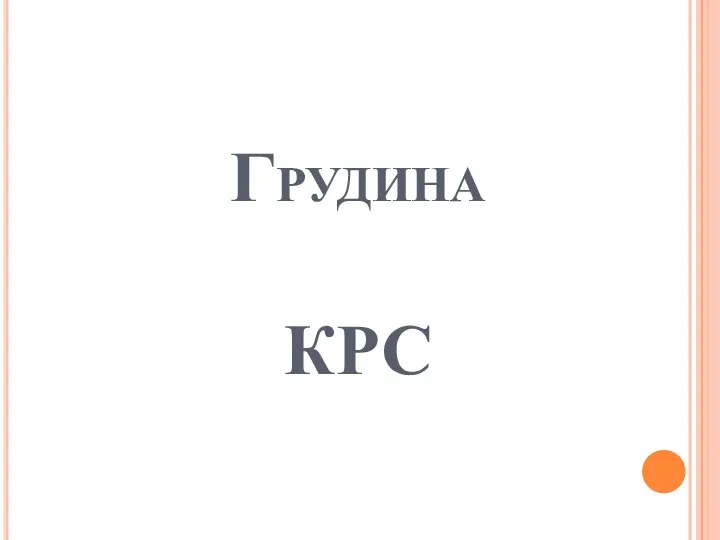 Грудина КРС