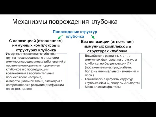 Механизмы повреждения клубочка Повреждение структур клубочка С депозицией (отложением) иммунных комплексов в