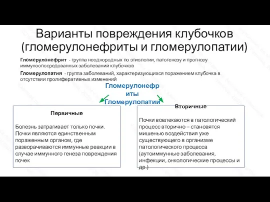 Первичные Болезнь затрагивает только почки. Почки являются единственным пораженным органом, где разворачиваются