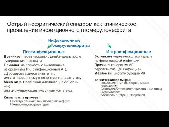 Острый нефритический синдром как клиническое проявление инфекционного гломерулонефрита Инфекционные гломерулонефриты Интраинфекционные Возникает