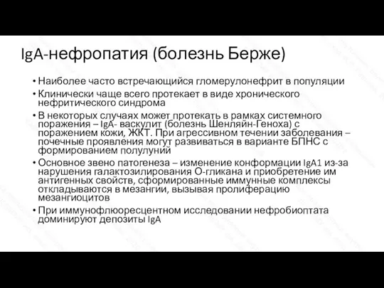 IgA-нефропатия (болезнь Берже) Наиболее часто встречающийся гломерулонефрит в популяции Клинически чаще всего