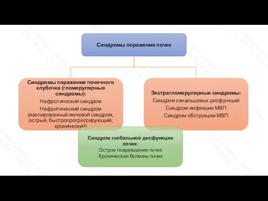 Синдром глобальной дисфункции почек: Острое повреждение почек Хроническая болезнь почек