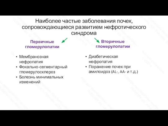 Наиболее частые заболевания почек, сопровождающиеся развитием нефротического синдрома Первичные гломерулопатии Мембранозная нефропатия