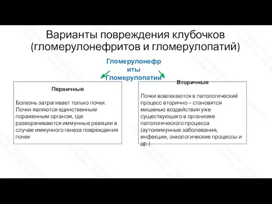 Первичные Болезнь затрагивает только почки. Почки являются единственным пораженным органом, где разворачиваются