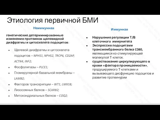 Этиология первичной БМИ Неиммунная генетические детерминированные изменения протеинов щелевидной диафрагмы и цитоскелета