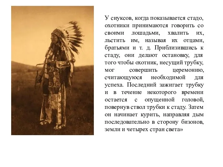 У сиуксов, когда показывается стадо, охотники принимаются говорить со своими лошадьми, хвалить