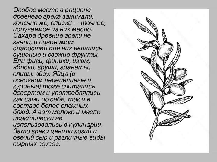 . Особое место в рационе древнего грека занимали, конечно же, оливки —