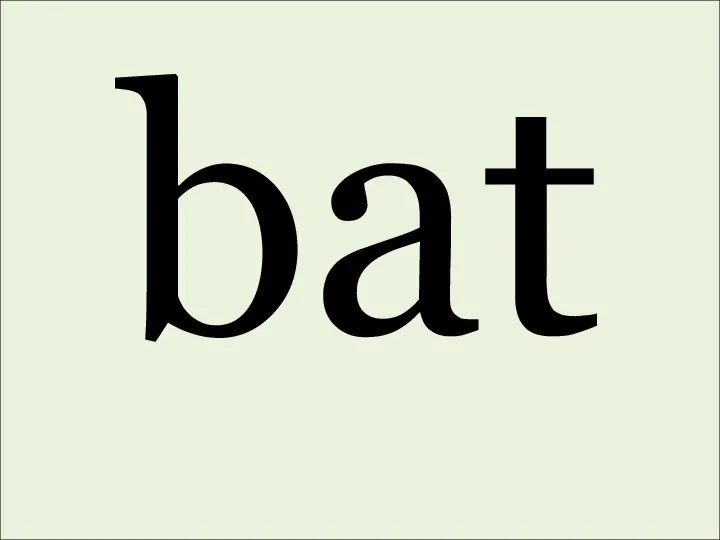 bat