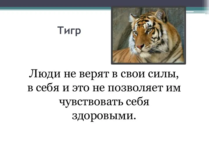Тигр Люди не верят в свои силы, в себя и это не