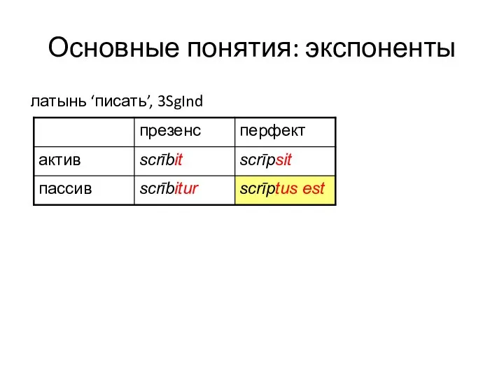 Основные понятия: экспоненты латынь ‘писать’, 3SgInd