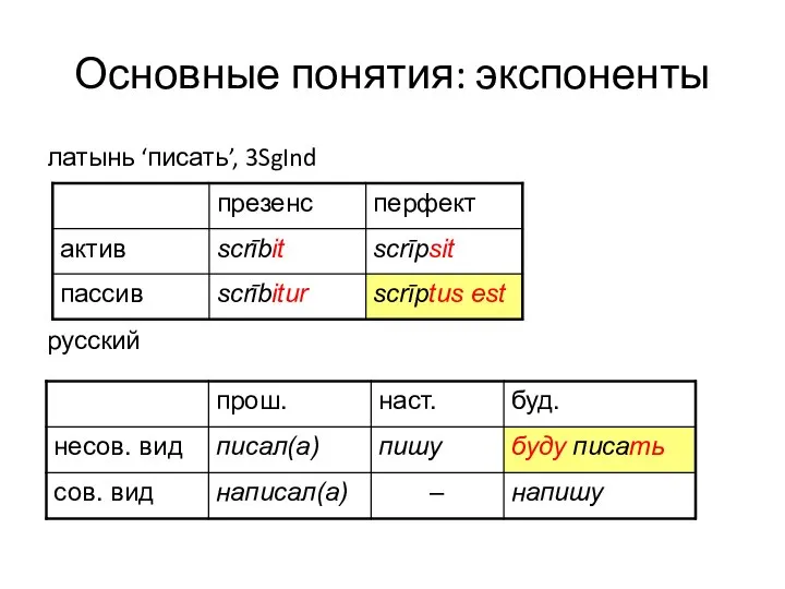 Основные понятия: экспоненты латынь ‘писать’, 3SgInd русский