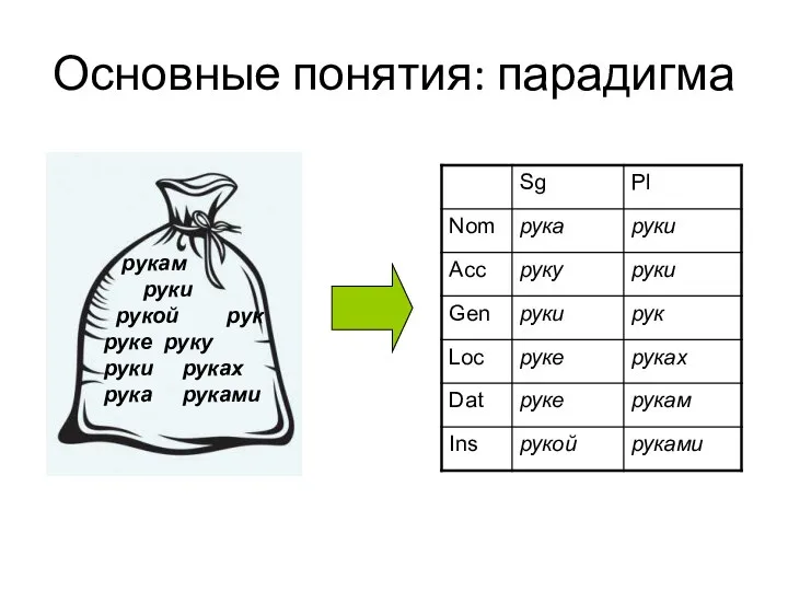 Основные понятия: парадигма рукам руки рукой рук руке руку руки руках рука руками