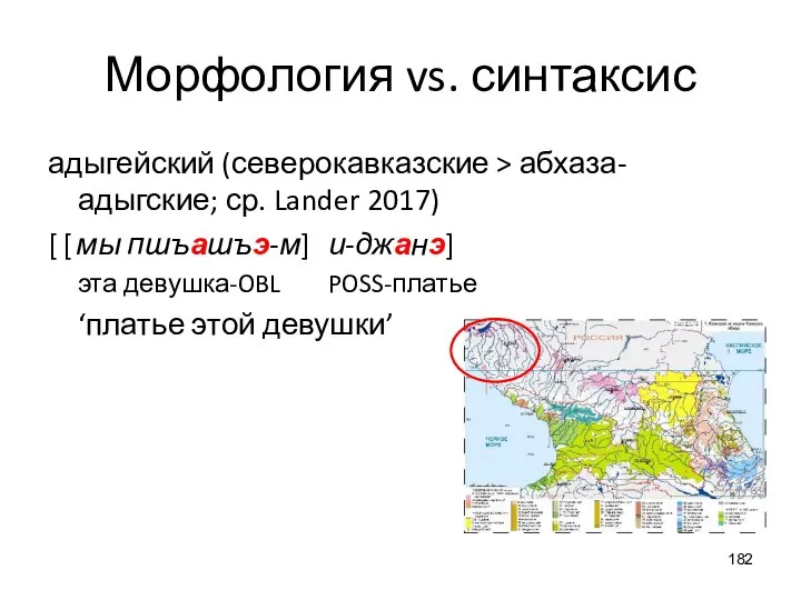 Морфология vs. синтаксис адыгейский (северокавказские > абхаза-адыгские; ср. Lander 2017) [ [