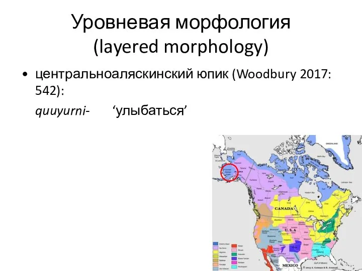 Уровневая морфология (layered morphology) центральноаляскинский юпик (Woodbury 2017: 542): quuyurni- ‘улыбаться’