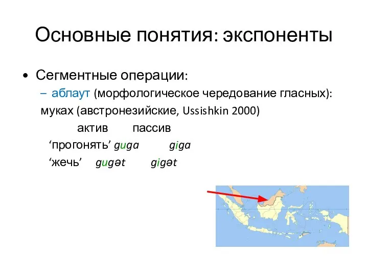 Основные понятия: экспоненты Сегментные операции: аблаут (морфологическое чередование гласных): муках (австронезийские, Ussishkin