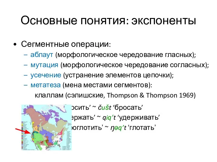 Основные понятия: экспоненты Сегментные операции: аблаут (морфологическое чередование гласных); мутация (морфологическое чередование