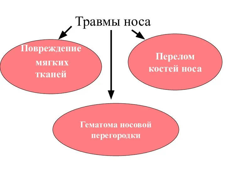 Травмы носа Повреждение мягких тканей Перелом костей носа Гематома носовой перегородки