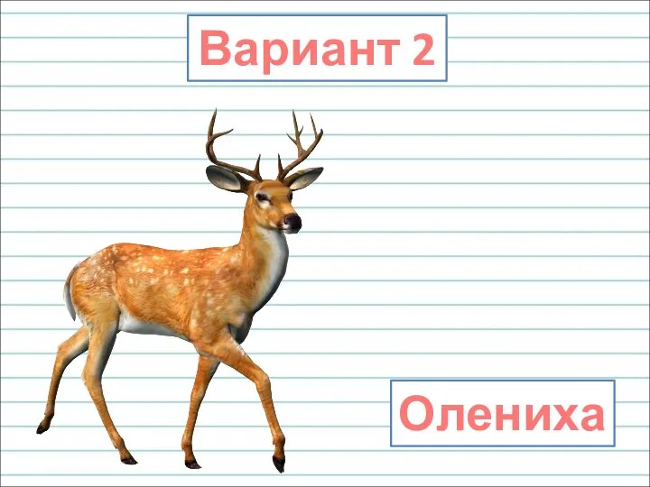 Вариант 2 Олениха