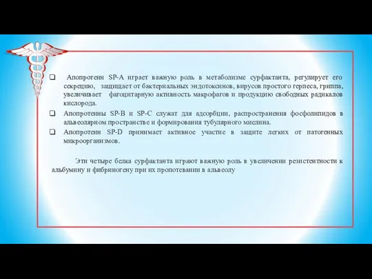 Апопротеин SP-A играет важную роль в метаболизме сурфактанта, регулирует его секрецию, защищает