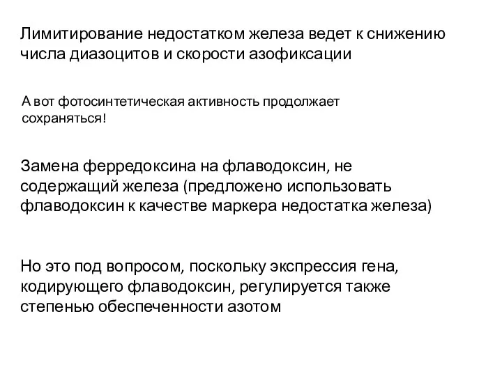 Лимитирование недостатком железа ведет к снижению числа диазоцитов и скорости азофиксации А