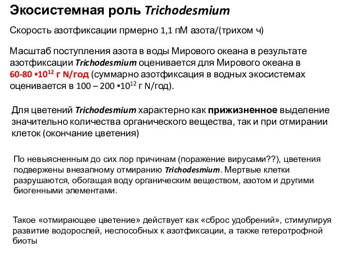 Для цветений Trichodesmium характерно как прижизненное выделение значительно количества органического вещества, так