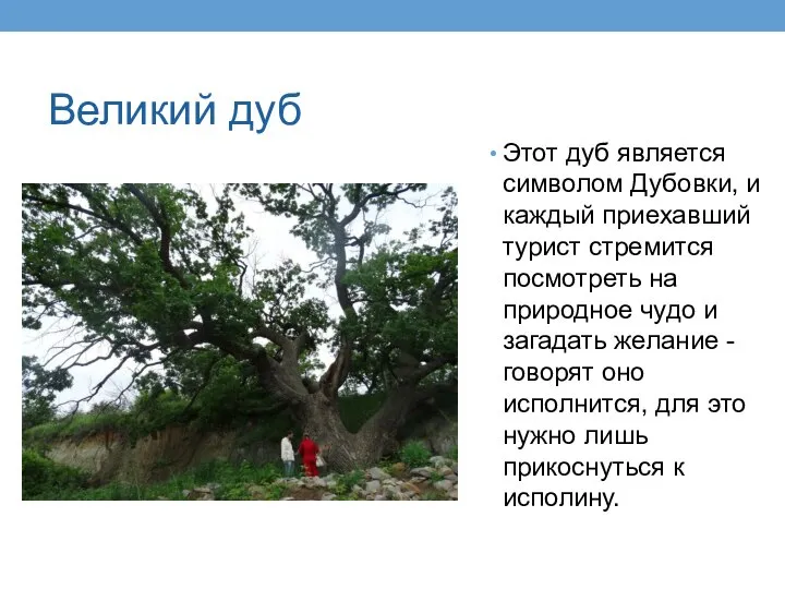 Великий дуб Этот дуб является символом Дубовки, и каждый приехавший турист стремится