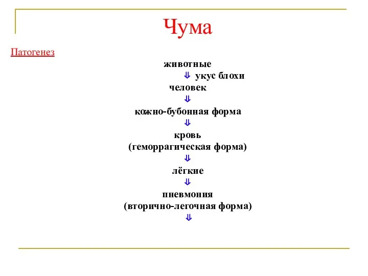 Чума Патогенез животные ⇓ укус блохи человек ⇓ кожно-бубонная форма ⇓ кровь